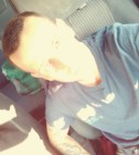 Volpe